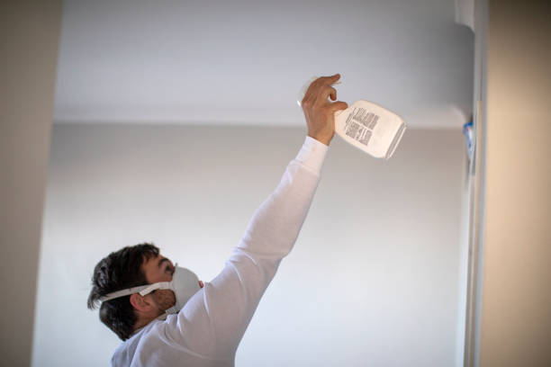 Best Professional Mold Removal  in Hampton, GA