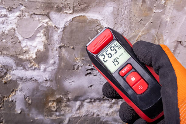 Best Same-Day Mold Removal  in Hampton, GA