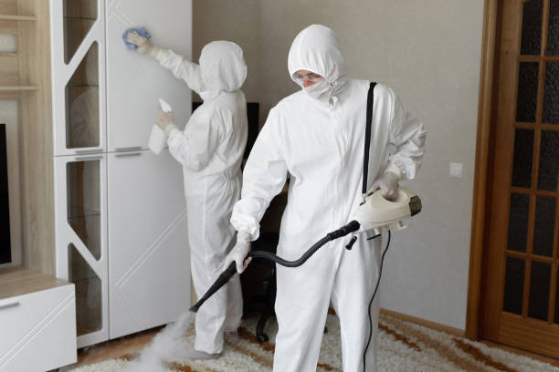 Best Certified Mold Removal  in Hampton, GA
